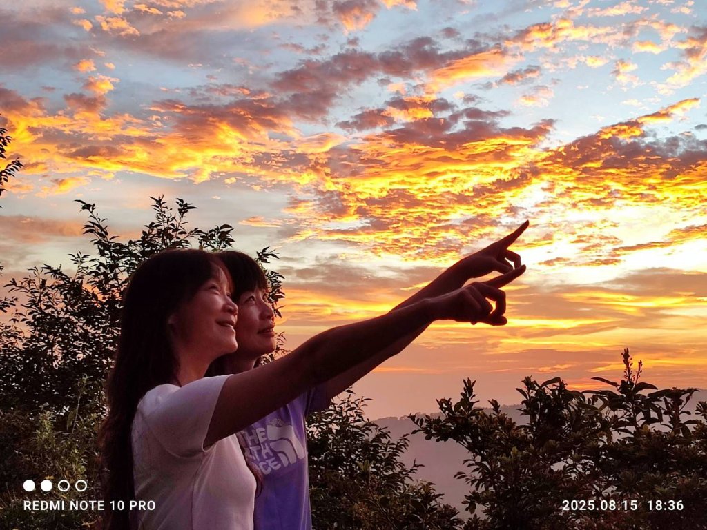 【油羅山/露營】 仙境舒活健走，雲端徜徉野趣！封面圖