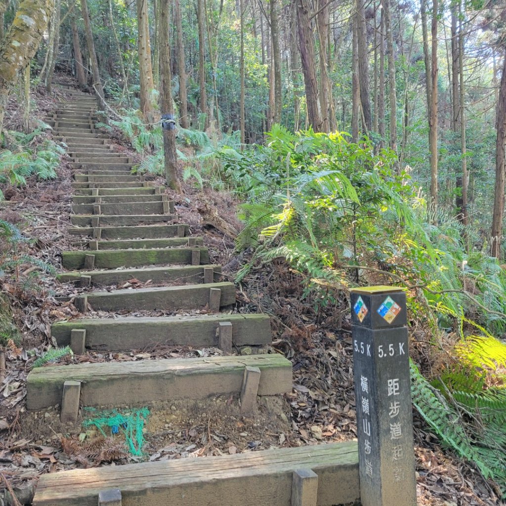 橫嶺山自然步道（木馬古道）_1638165