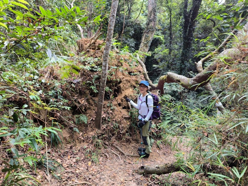 20221120 雲霧步道上鵝公髻山_1920211