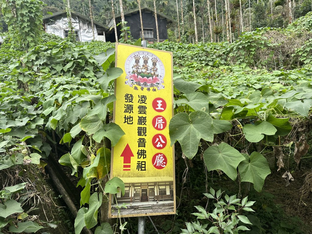 竹崎十三連峰 (阿里山四大天王越野賽路線)_1932747