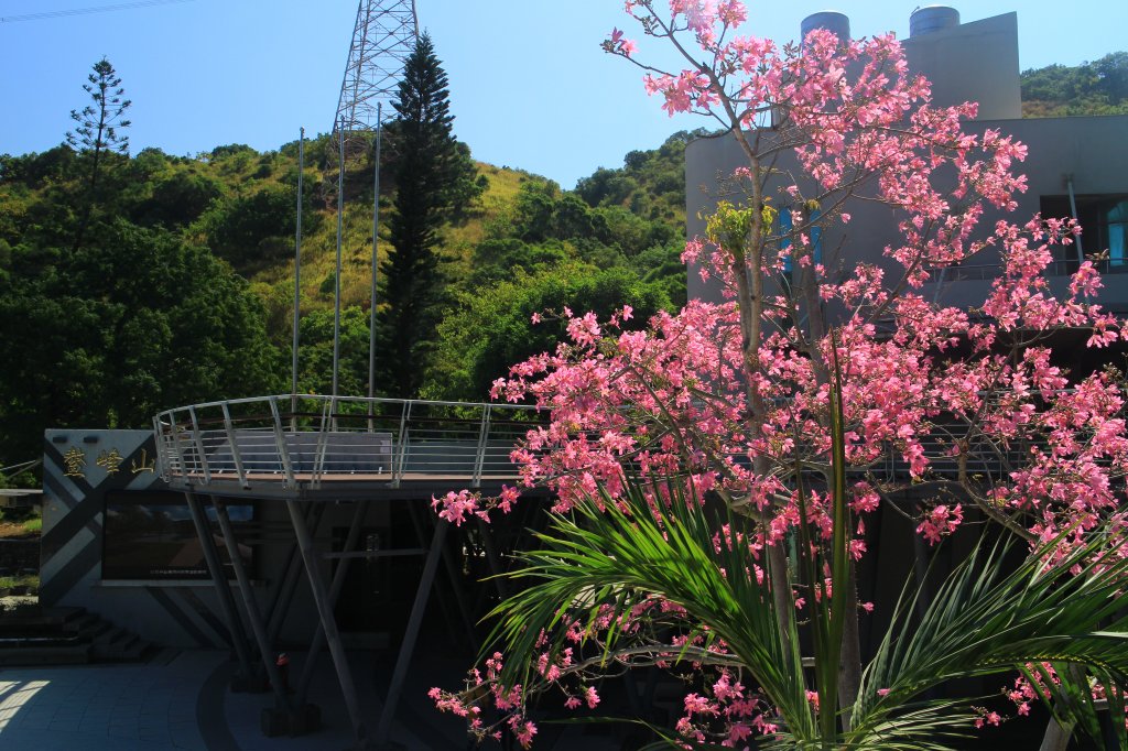 鰲峰山群帶遊之市鎮公園 20201010_1133998