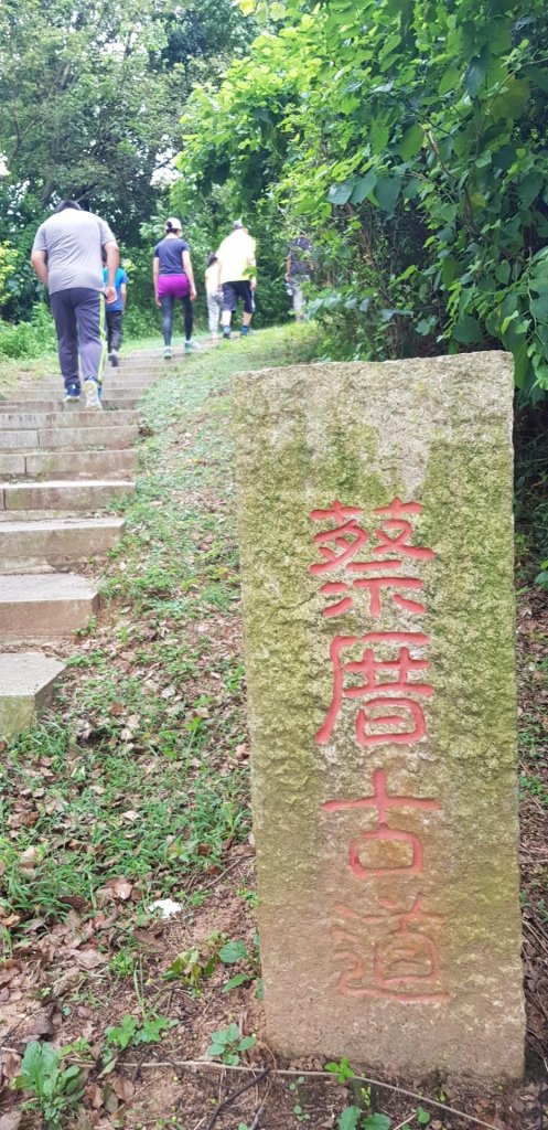 太武山-蔡厝古道封面圖