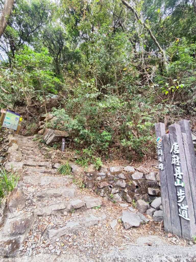 唐麻丹+蝴蝶谷封面圖