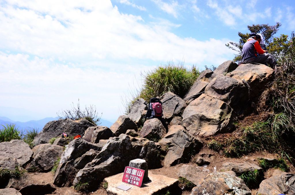 會呼吸的森林步道....加里山_103266