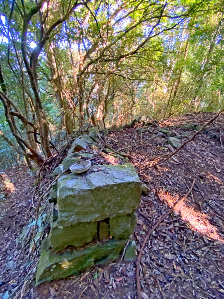 八仙山駐在所、東八仙山、八仙山O型走  _1133168