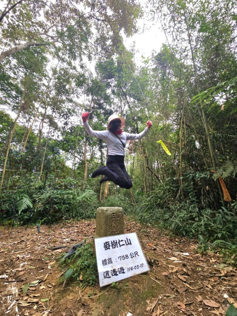 20251117新竹內灣三山四峰(內灣山.麥樹仁山南峰.麥樹仁山.白石湖山)_2939922