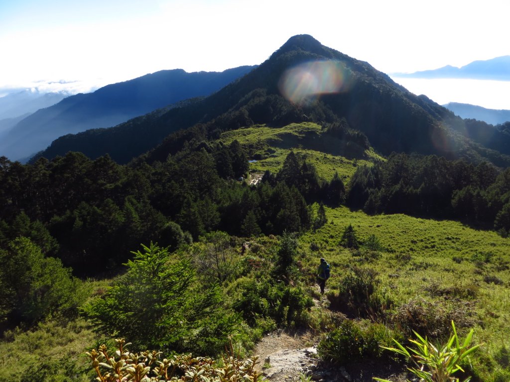 武陵四秀(2015四缺喀_2019喀桃)_689571