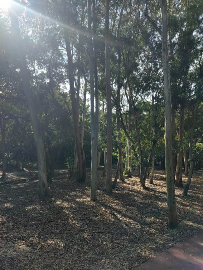 20231129 ⛰️大崗山 一線天O繞逛一圈🤣_2363867