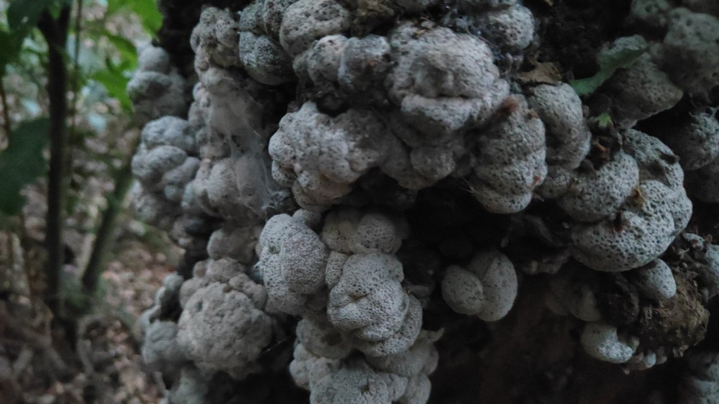 衣丁山單攻初體驗2025年3月30日_2749809