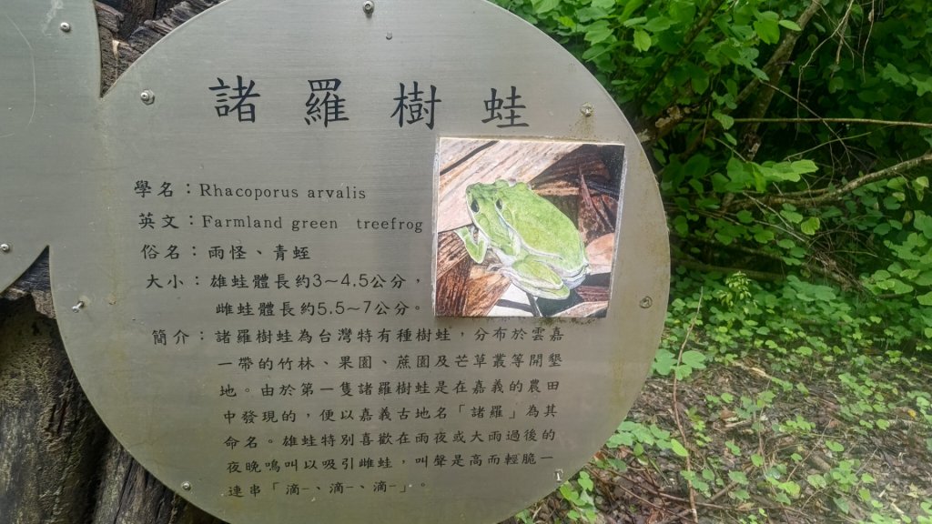 蘭潭後山步道紅毛埤山_2599688