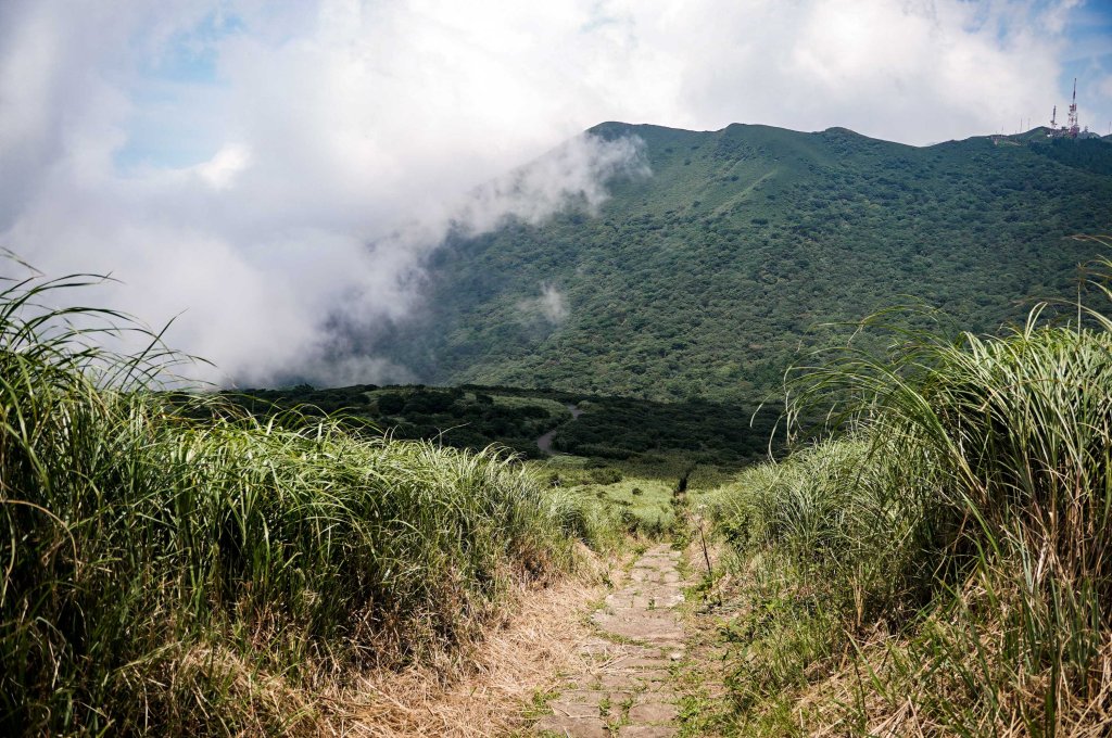 大屯山連峰步道｜陽明山小百岳_2856283
