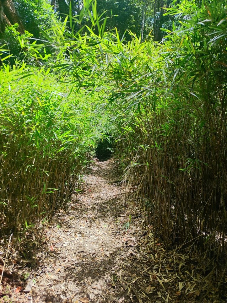 民都有山_2844998