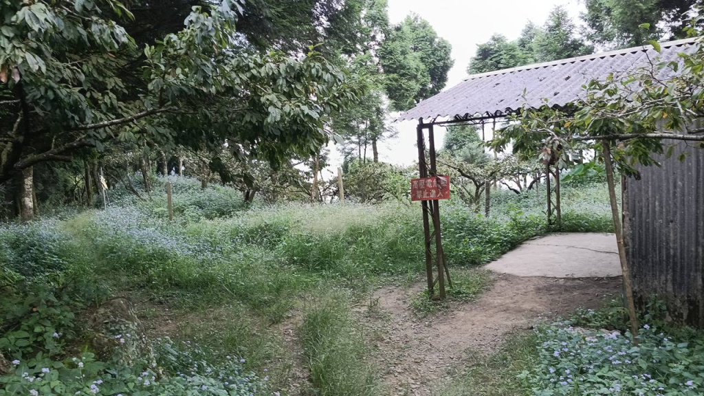 20251004 馬那邦山 - 珠湖 登山口_2904779