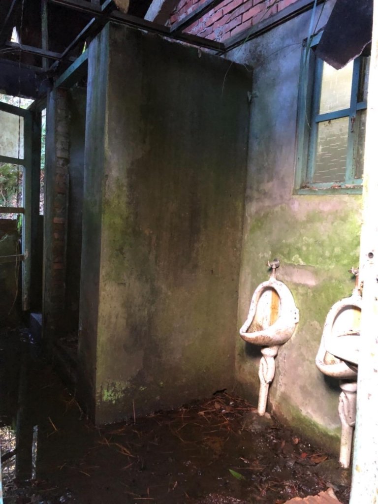 雪山西稜+大安溪神木_553282