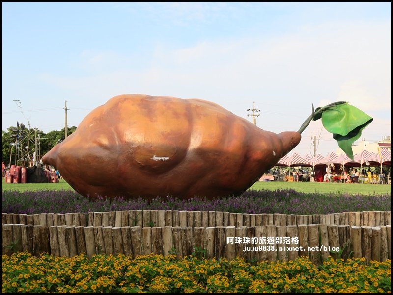 2019桃園觀音蓮花季。絲瓜隧道好療癒。_657607