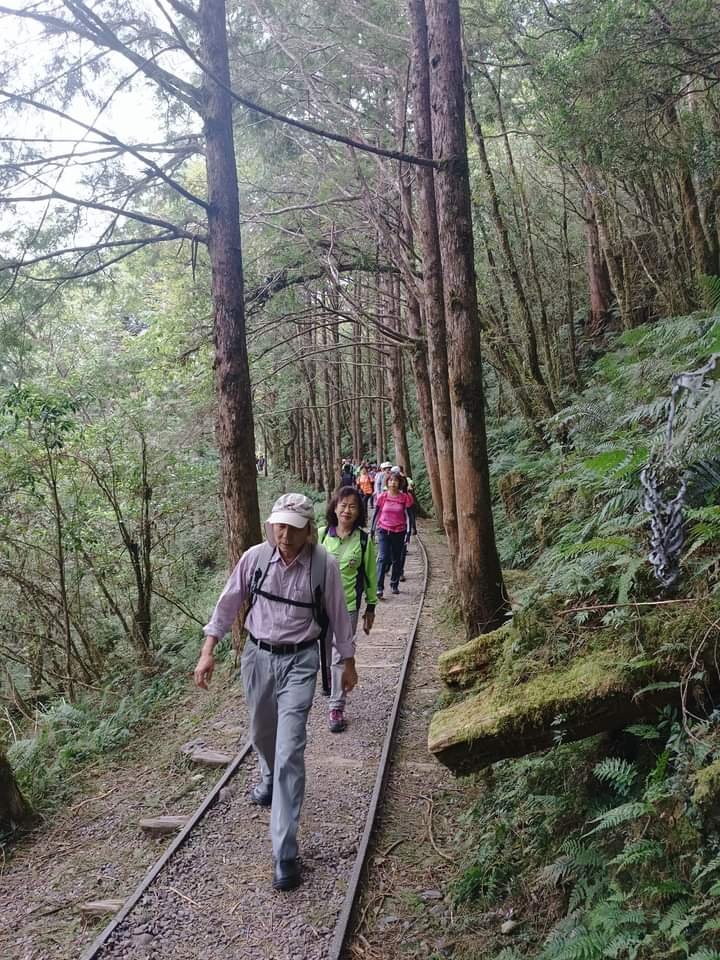 宜蘭太平山國家森林遊樂區 - 見晴懷古步道、檜木原始林步道（2-1 至蹦蹦車站）【台灣百大必訪步道】_2245136