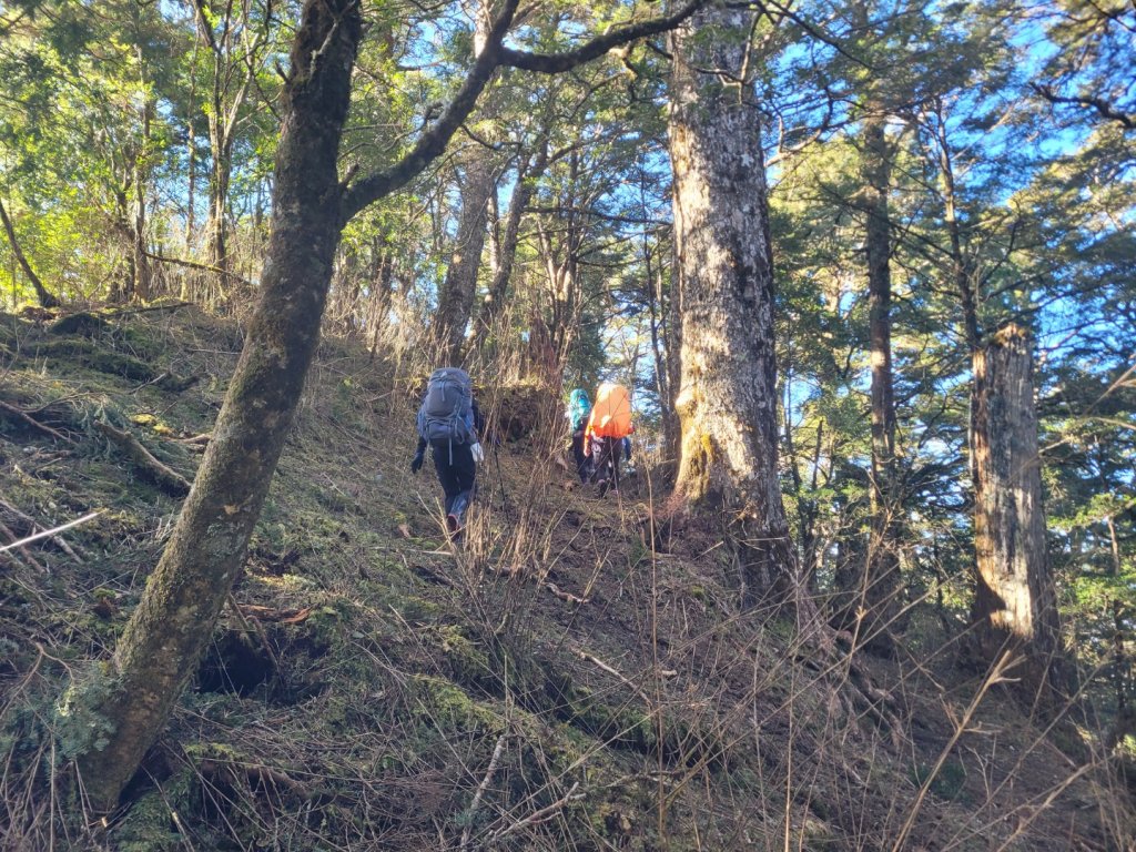 司馬庫斯上雪白山越嶺鴛鴦湖_2070138