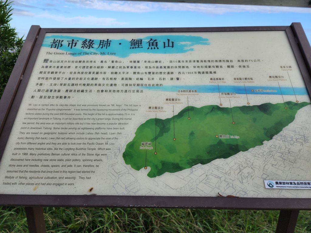 台東｜鯉魚山_2638616