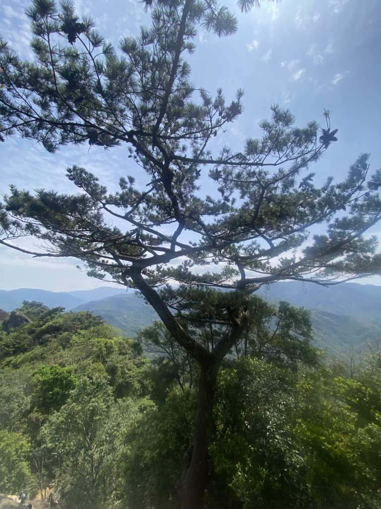 三峽五寮尖山_2764280