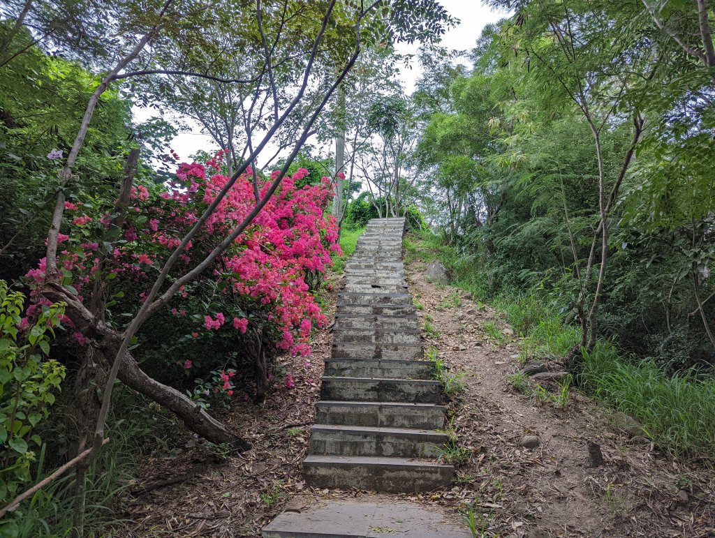 台東鯉魚山步道_1526195