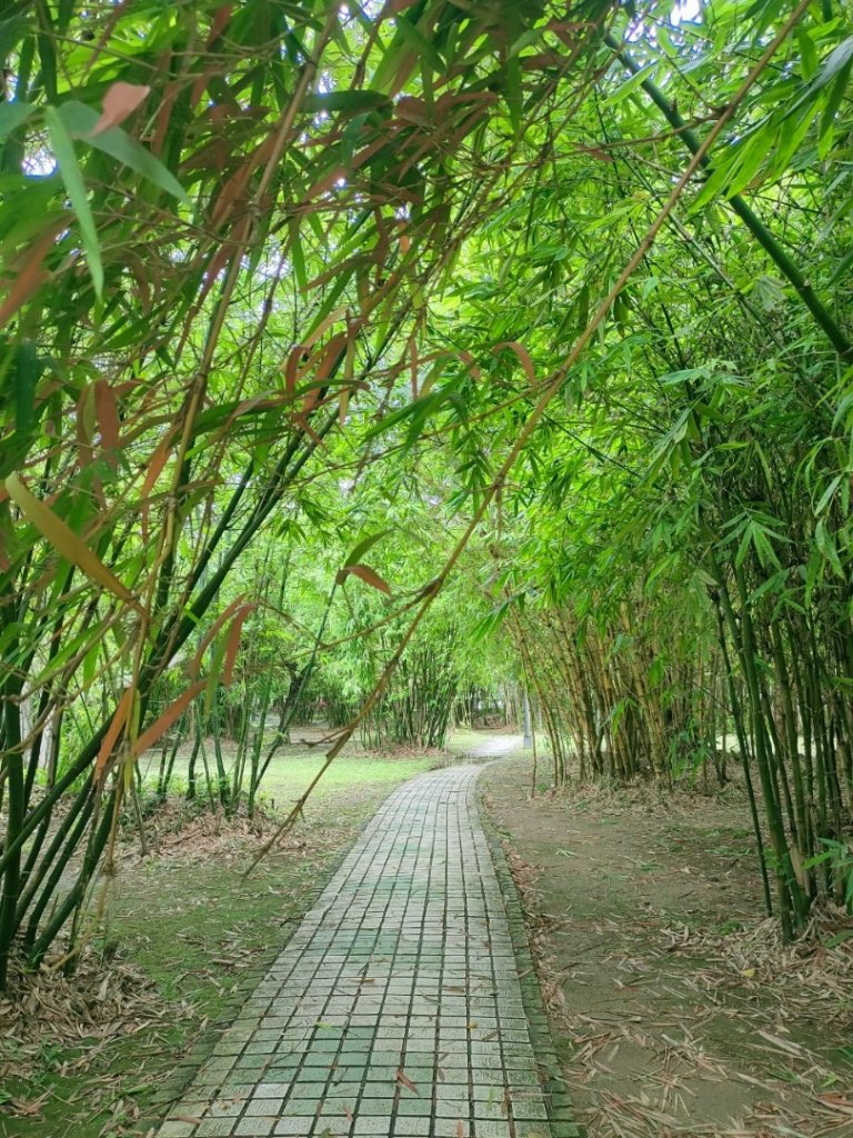 ［健康大穀東］（9~11）：大安，華山，唭哩岸捷運站_2238482