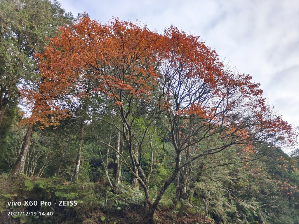 20211219大塔山_1618274