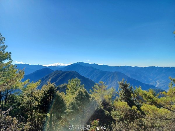 【南投信義】陡上陡下無冷場叫大山的都不好惹。 No91百岳~西巒大山 (人倫林道進出)封面圖