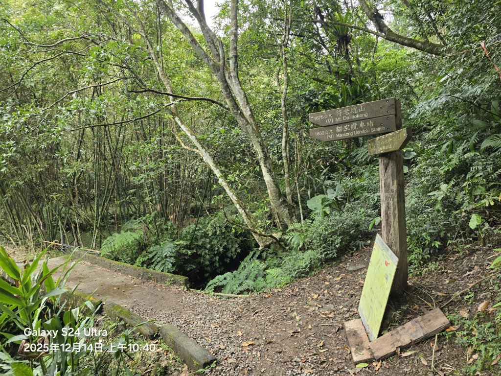 2025-12-14微笑山線：【二格山系】銀河洞越嶺段_2962158