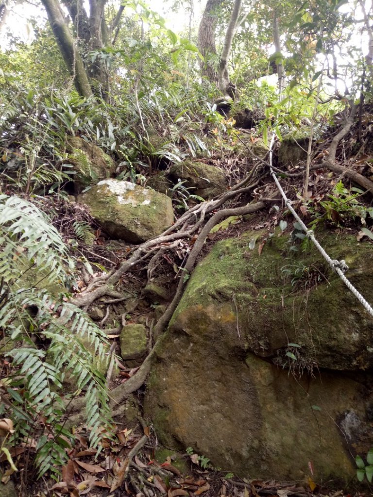 潤濟宮登山步道_564973