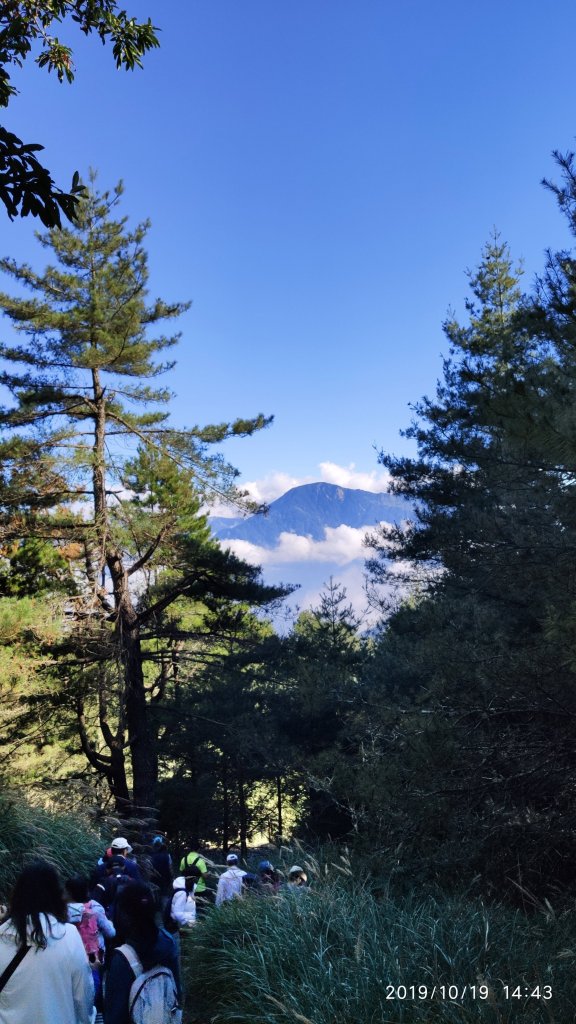 大雪山神木&天池_715437