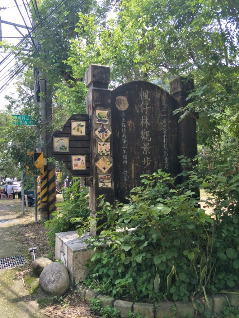 蝙蝠洞_1442899