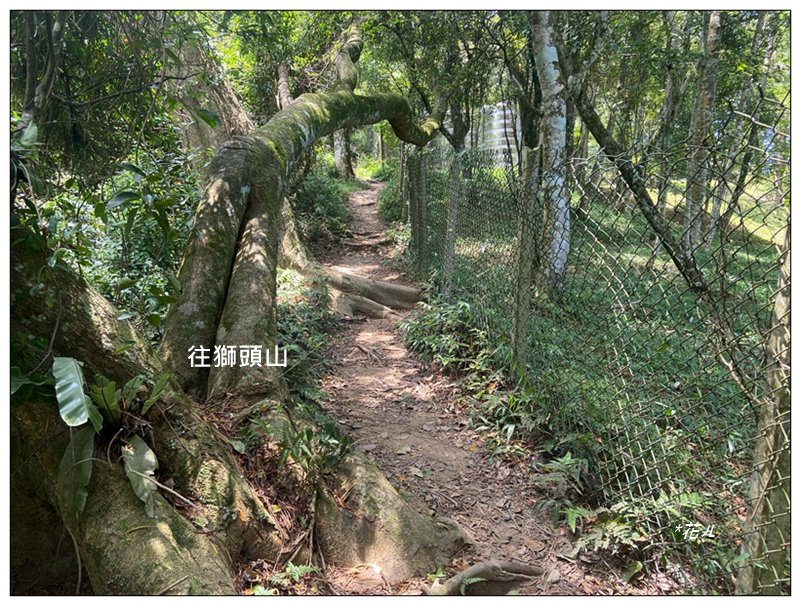 獅山五連峰 (猿山、六寮山、獅尾山、獅頭山、玖玖山)_2871395