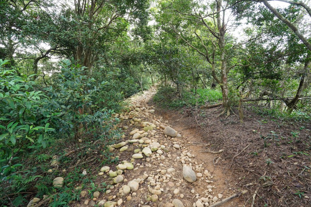 苗栗 長潭坑山、大坑尾山、三角山、雙峰山_2598362