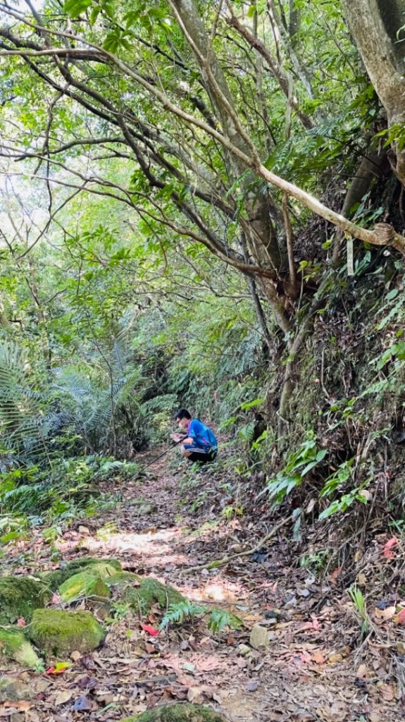 石笋古道_1484485