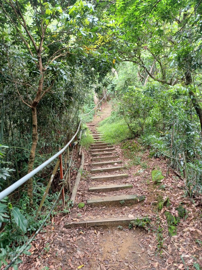 【台中北屯】南觀音山步道_2933198