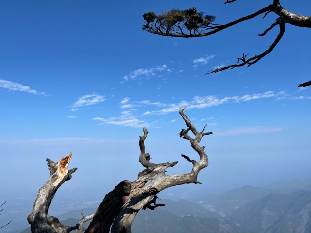 見證最美麗北大武山雲海、鐵杉_1318882