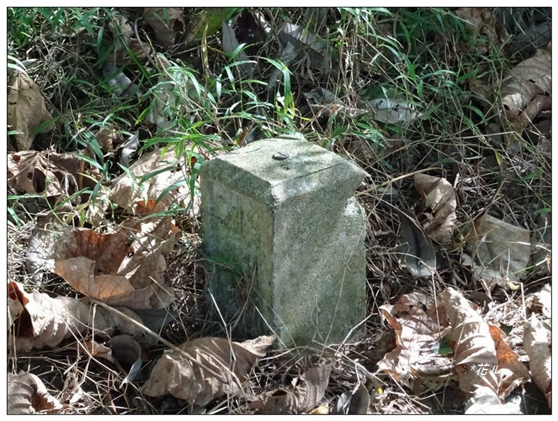 三汀山、埤頭山、觀雲嶺稜線O形一圈_1933660