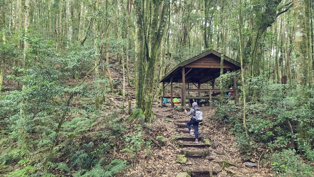 馬崙山_1219339