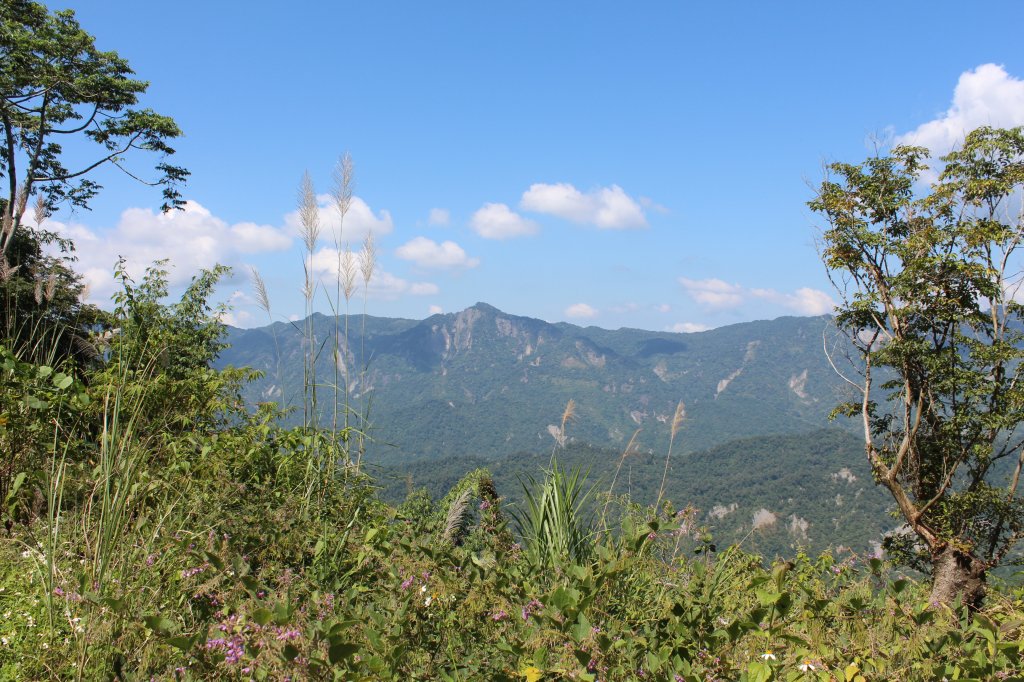 20201002高雄西阿里關山-茅山南峰_1117675