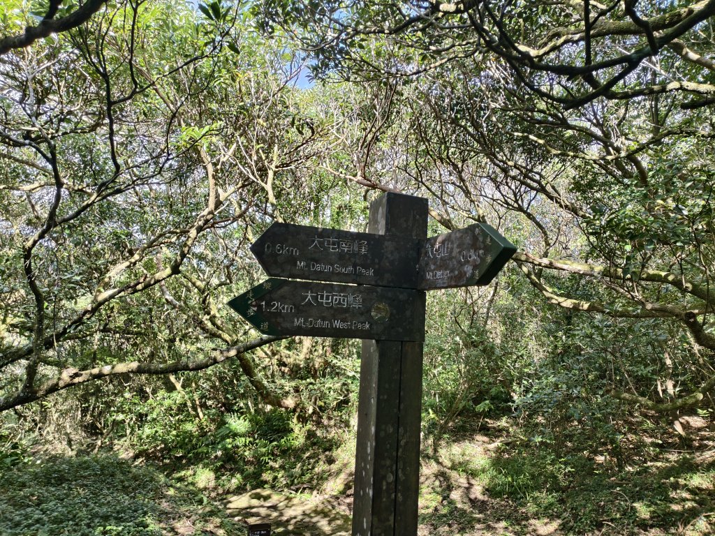 [百山百鳥尋旅-11/15] 2025_0927 大屯主峰-連峰步道_大屯山南峰_2899348