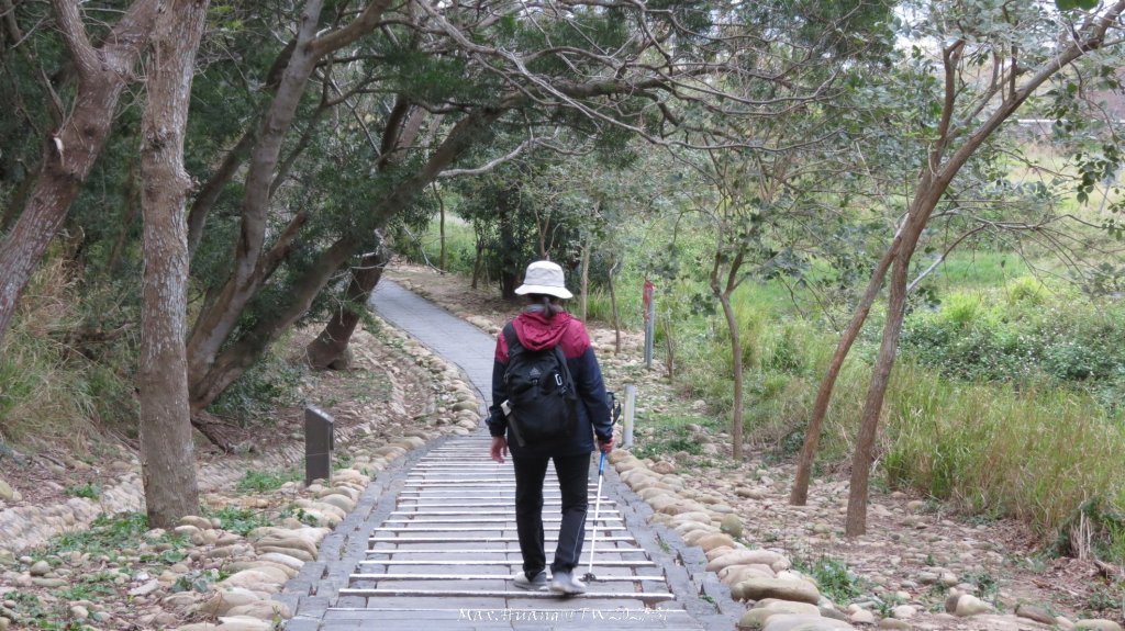 《台中》桃李爭妍｜竹坑南寮步道上竹坑山接瑞井步道O繞20250209_2710167