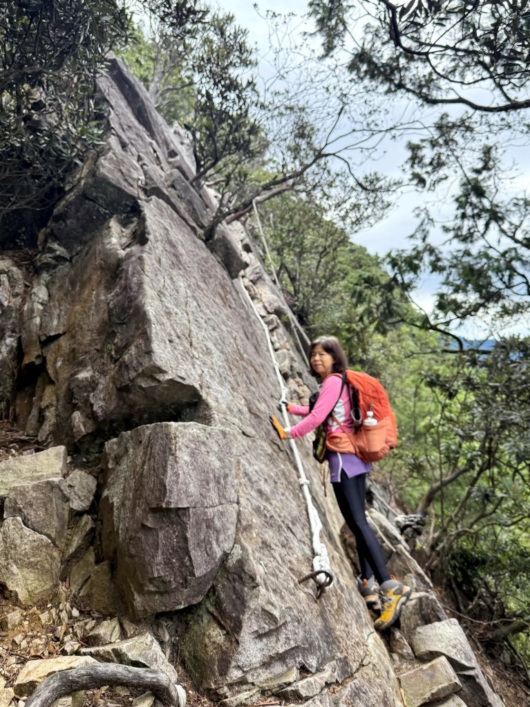 鳶嘴山+稍來神木 20250830_2873854