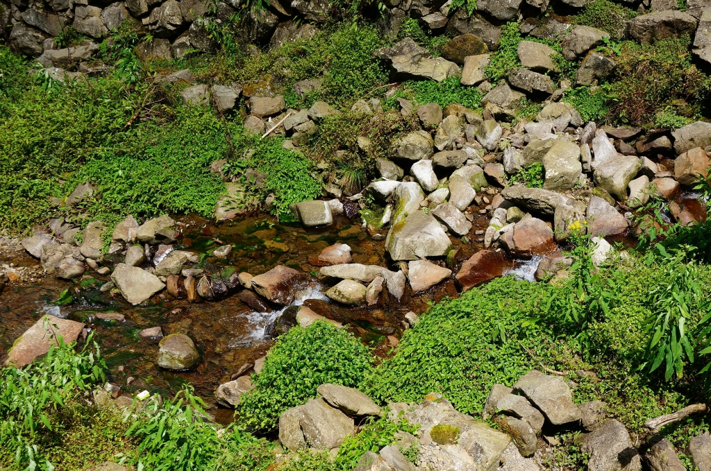 特富野古道_91019