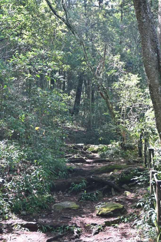 谷關七雄-馬崙山1st_2888292