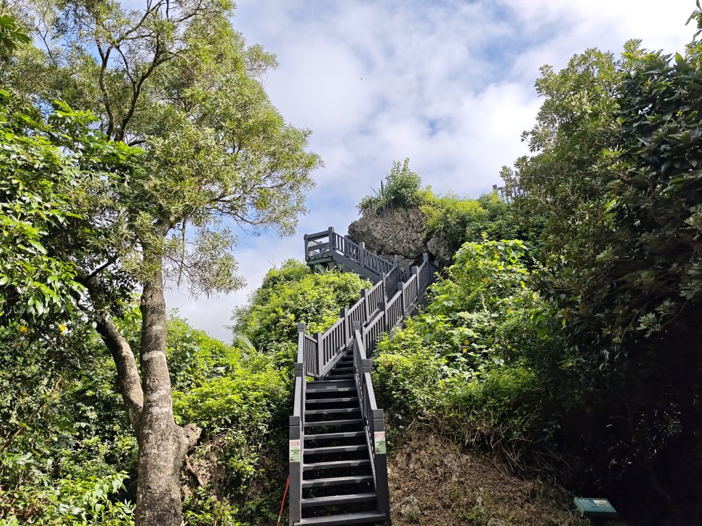 [百山百鳥尋旅-02/15] 2025_0809 社頂自然公園步道_2856933