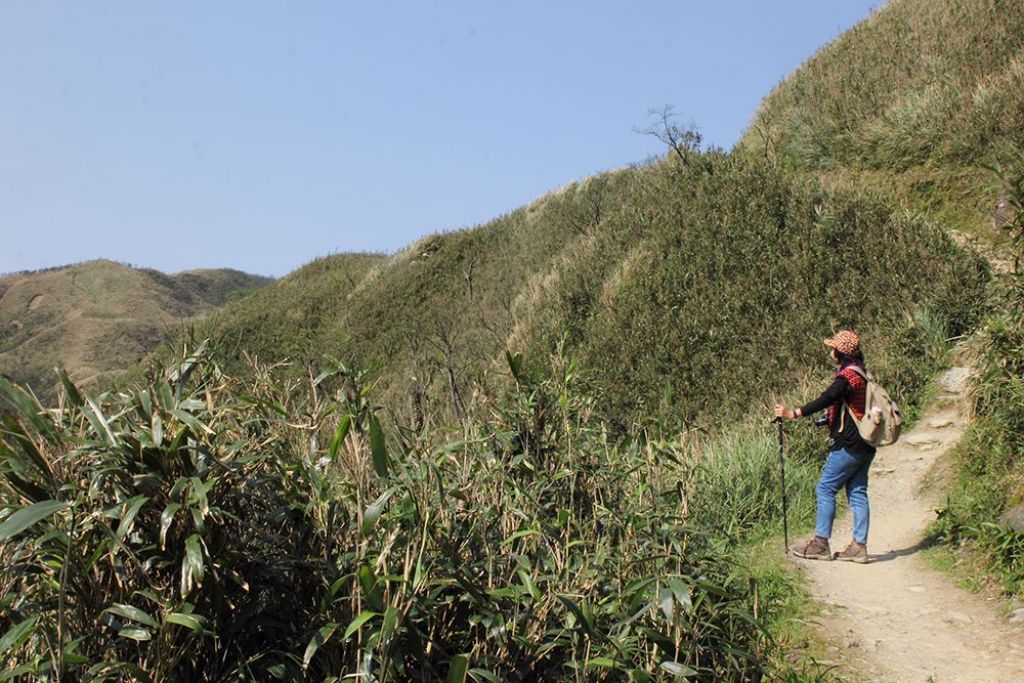 礁溪聖母朝聖地.三角崙山來回封面圖