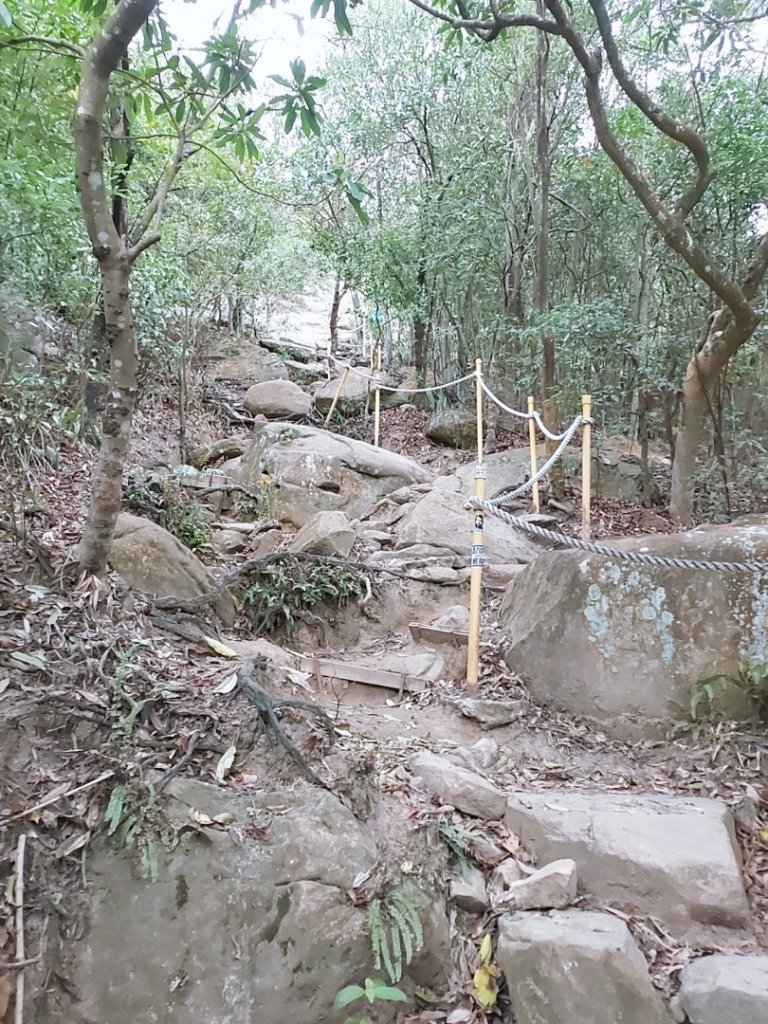 內湖金面山_2447346