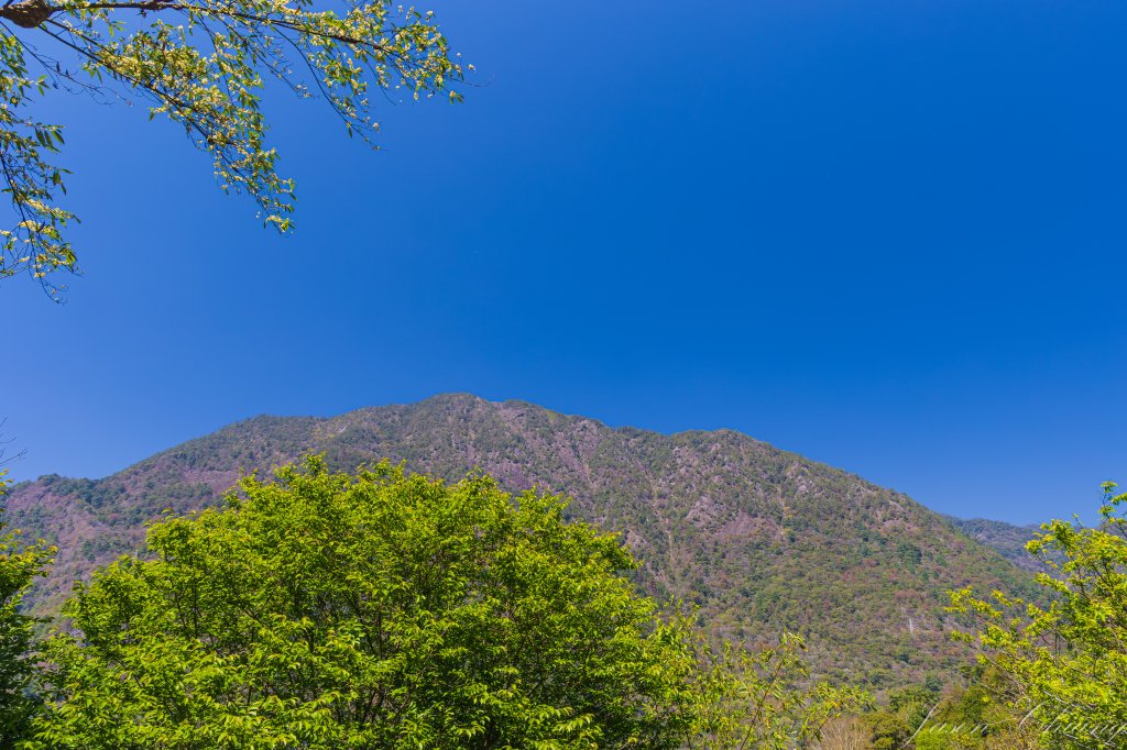 谷關七雄_唐麻丹山_3015604