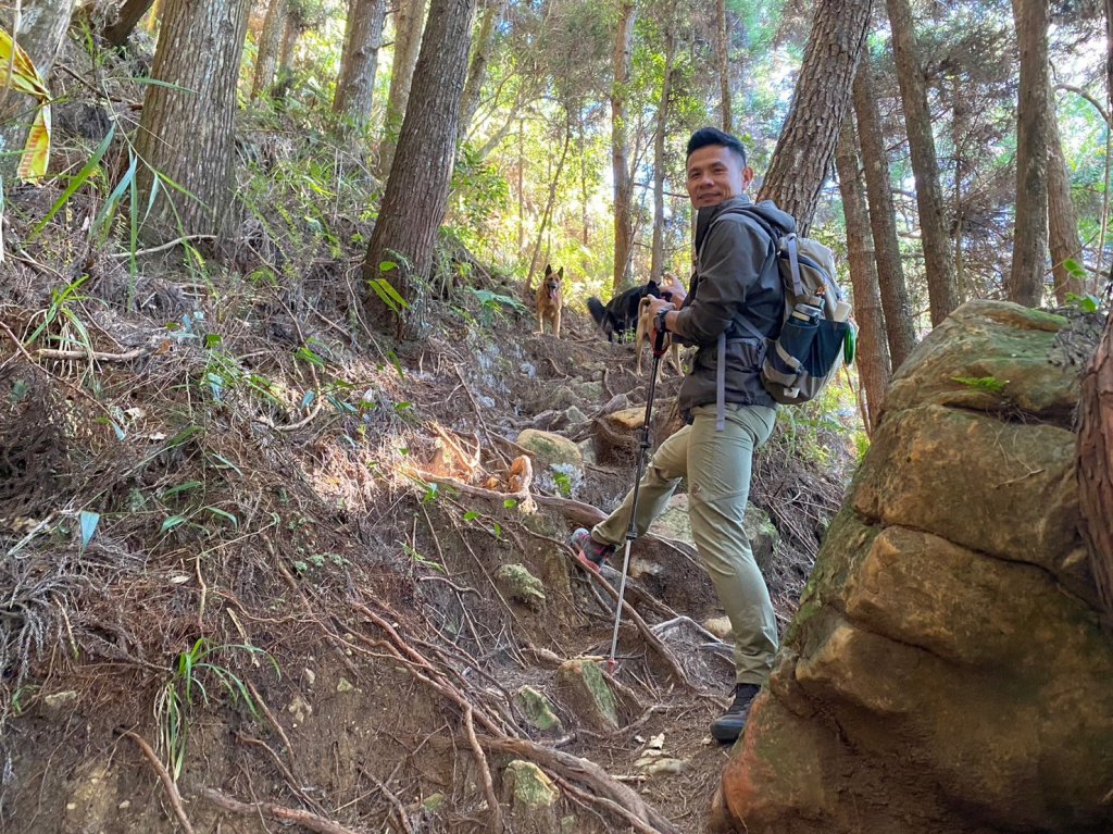 二萬坪山.屏遮那山.夫妻神木【最佳品質的森林浴】_2370177