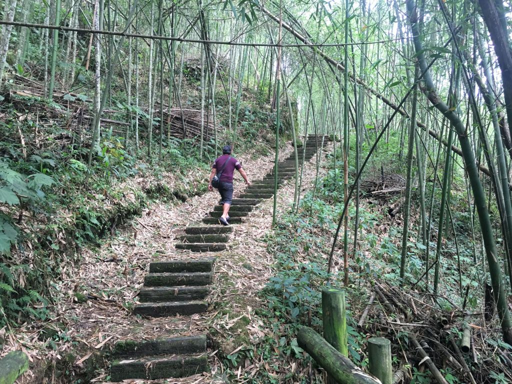 里美避難步道、巨石板步道_141436